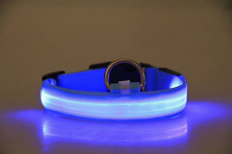 DogParadise - LED Halsband