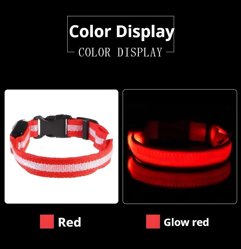 DogParadise - LED Halsband