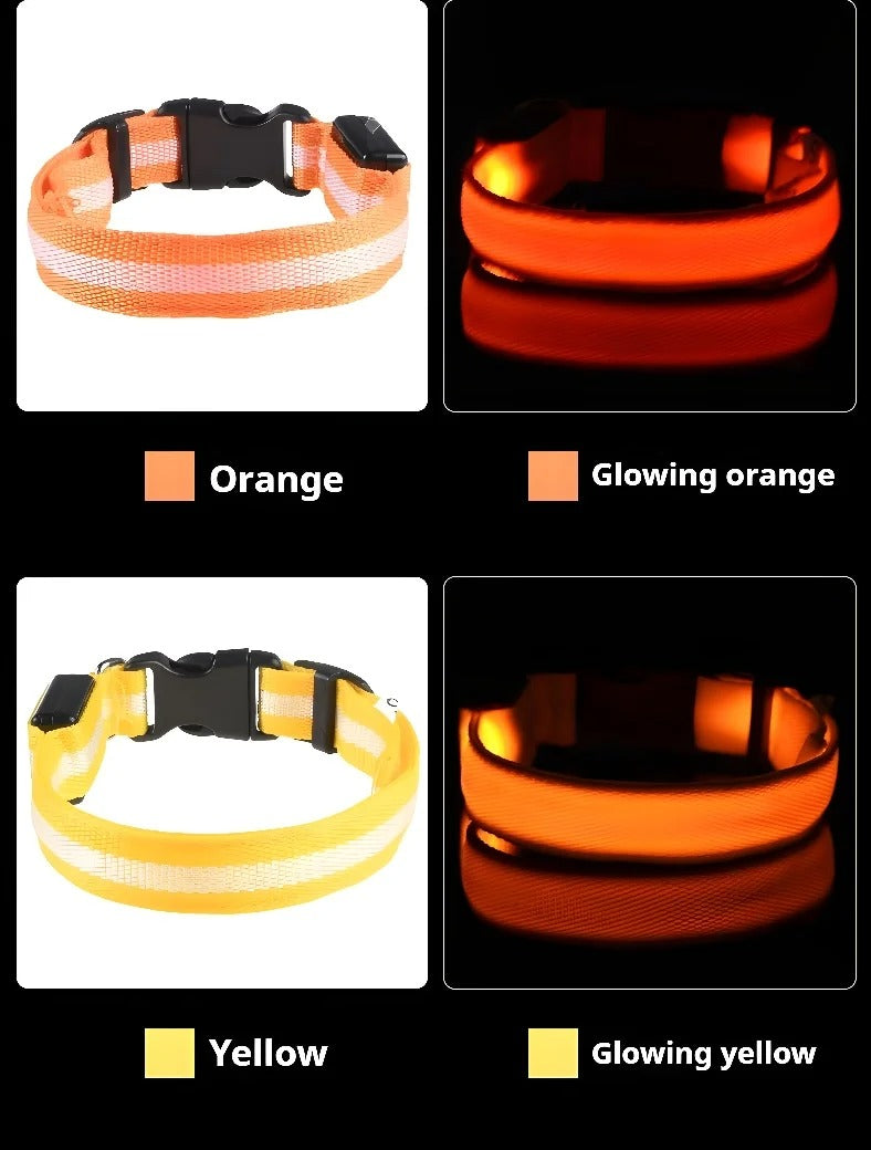 DogParadise - LED Halsband