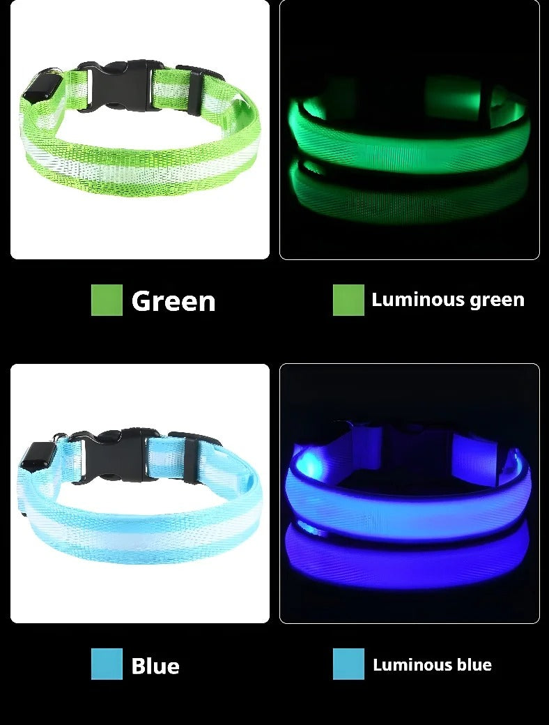 DogParadise - LED Halsband