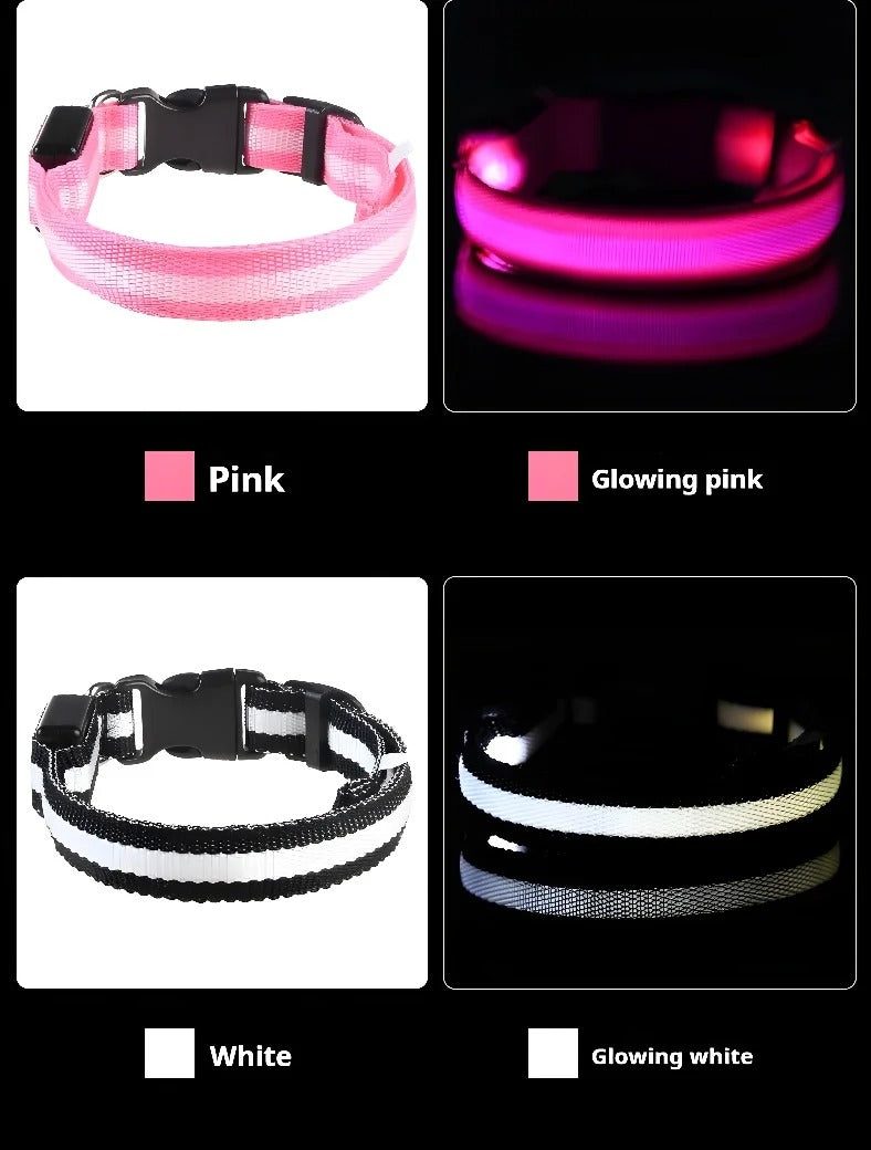 DogParadise - LED Halsband