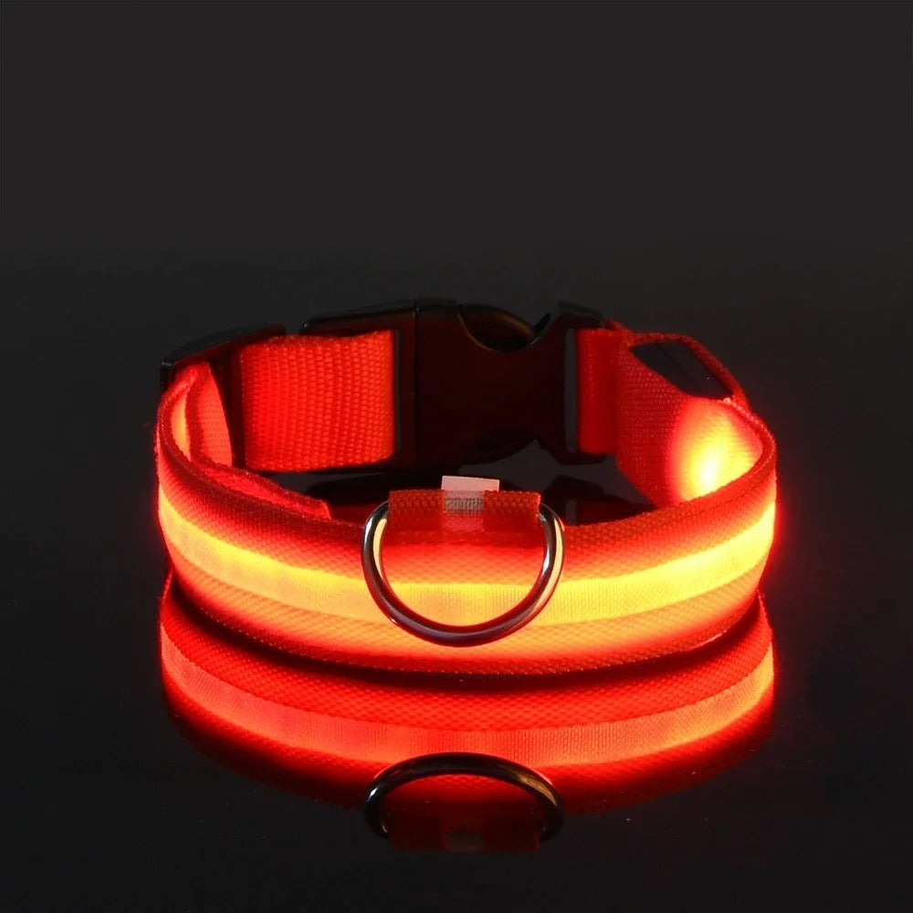 DogParadise - LED Halsband
