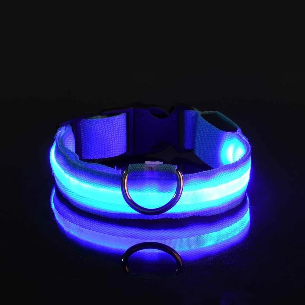DogParadise - LED Halsband