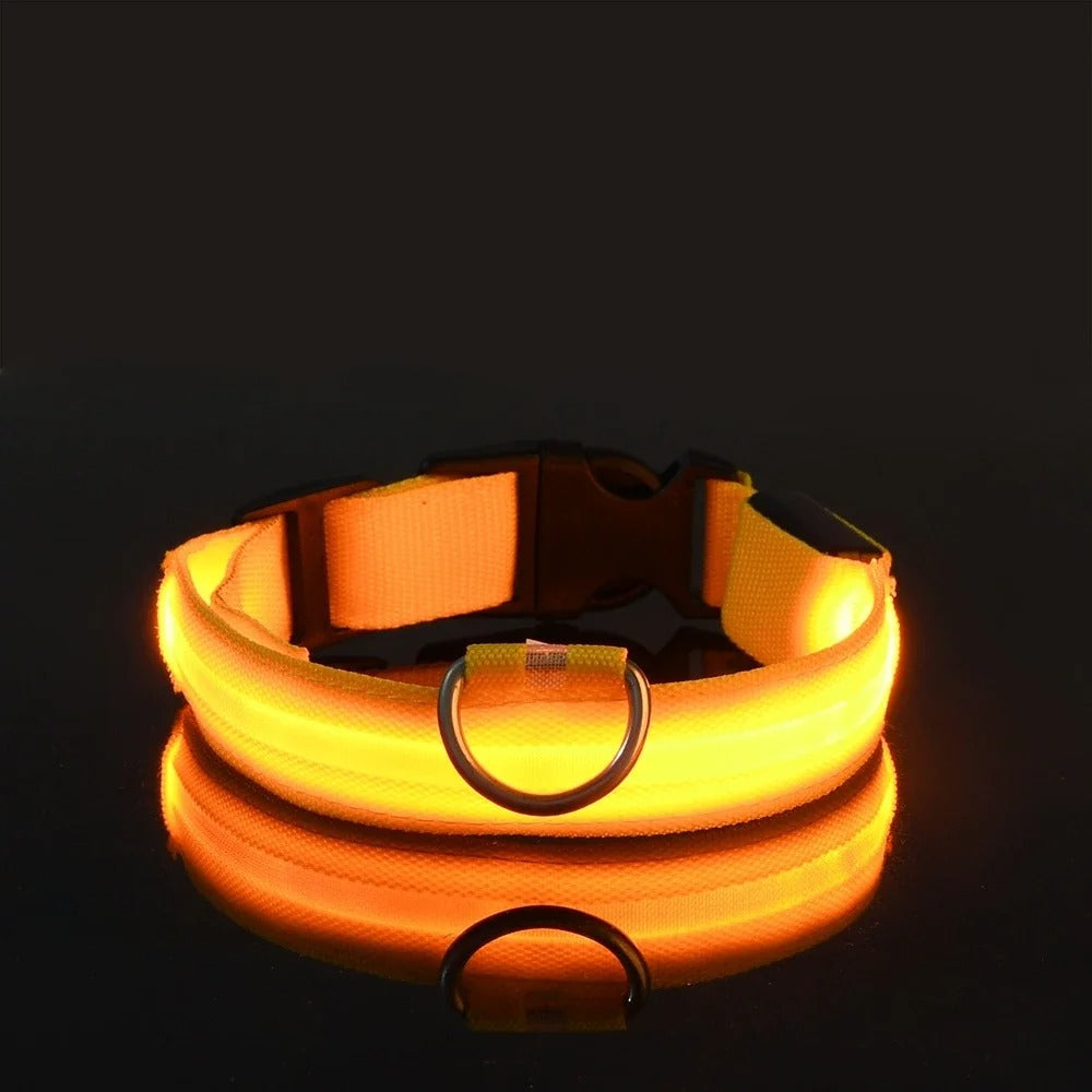 DogParadise - LED Halsband