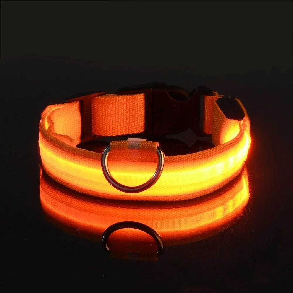 DogParadise - LED Halsband
