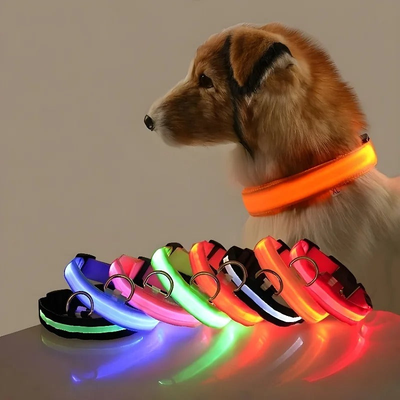 DogParadise - LED Halsband