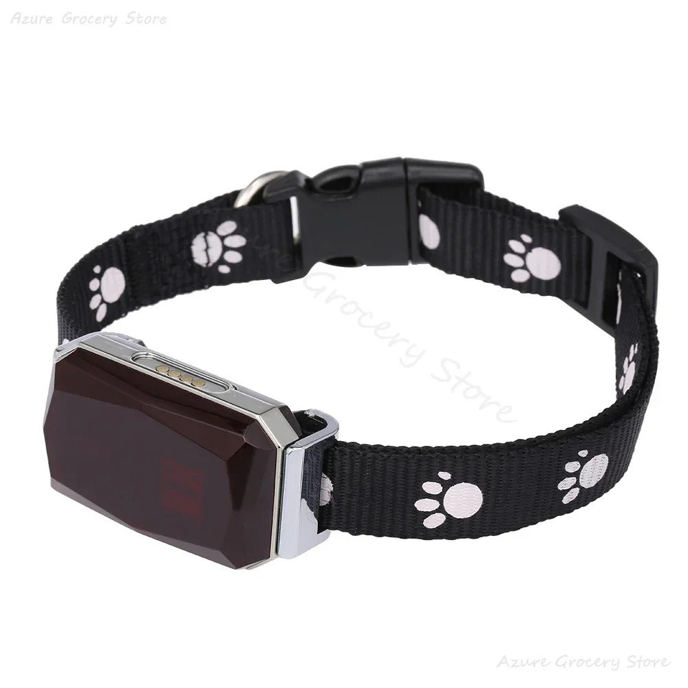 DogParadise - GPS-Tracker