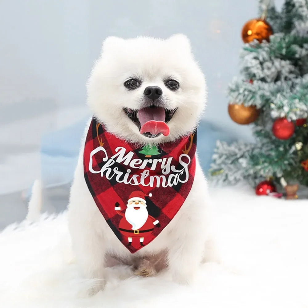 DogParadise - Weihnachtshalstuch