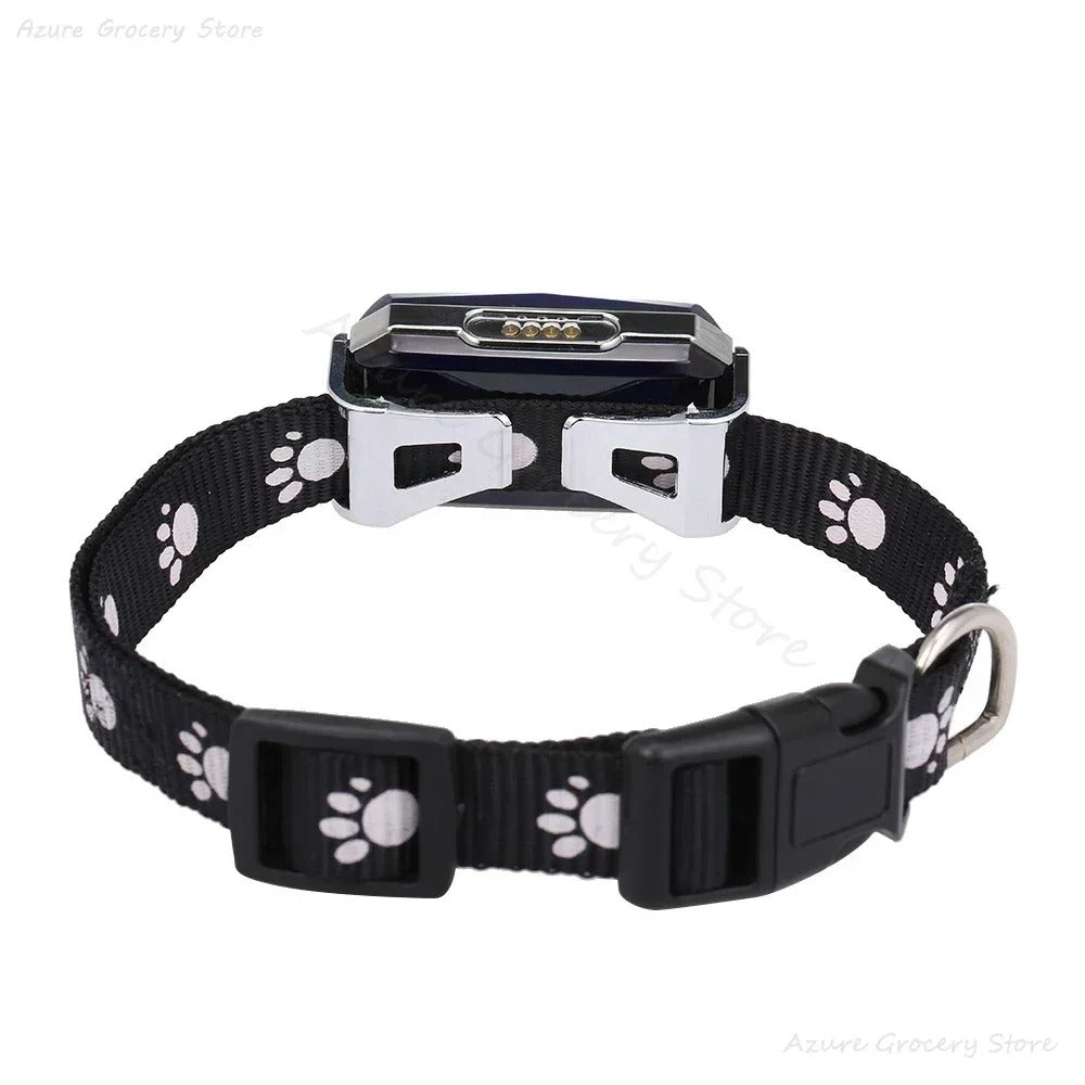 DogParadise - GPS-Tracker