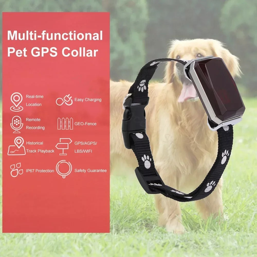 DogParadise - GPS-Tracker