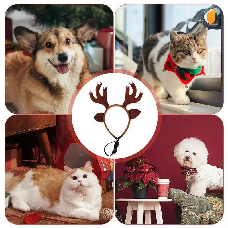 DogParadise - Rentiergeweih