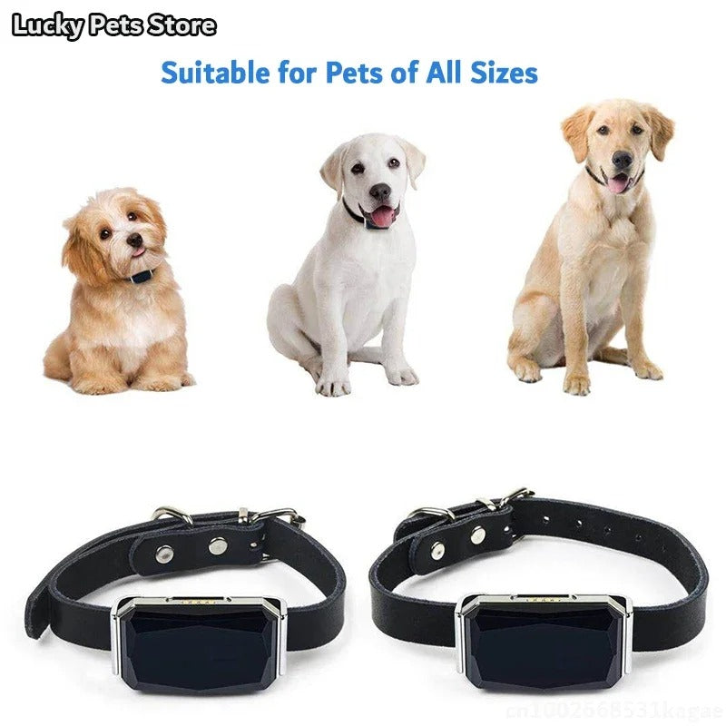 DogParadise - GPS-Tracker