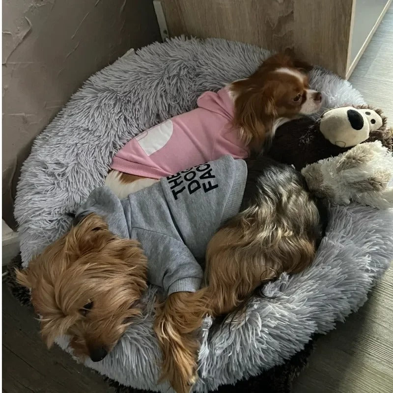 DogParadise - The Dog Face Hoodie