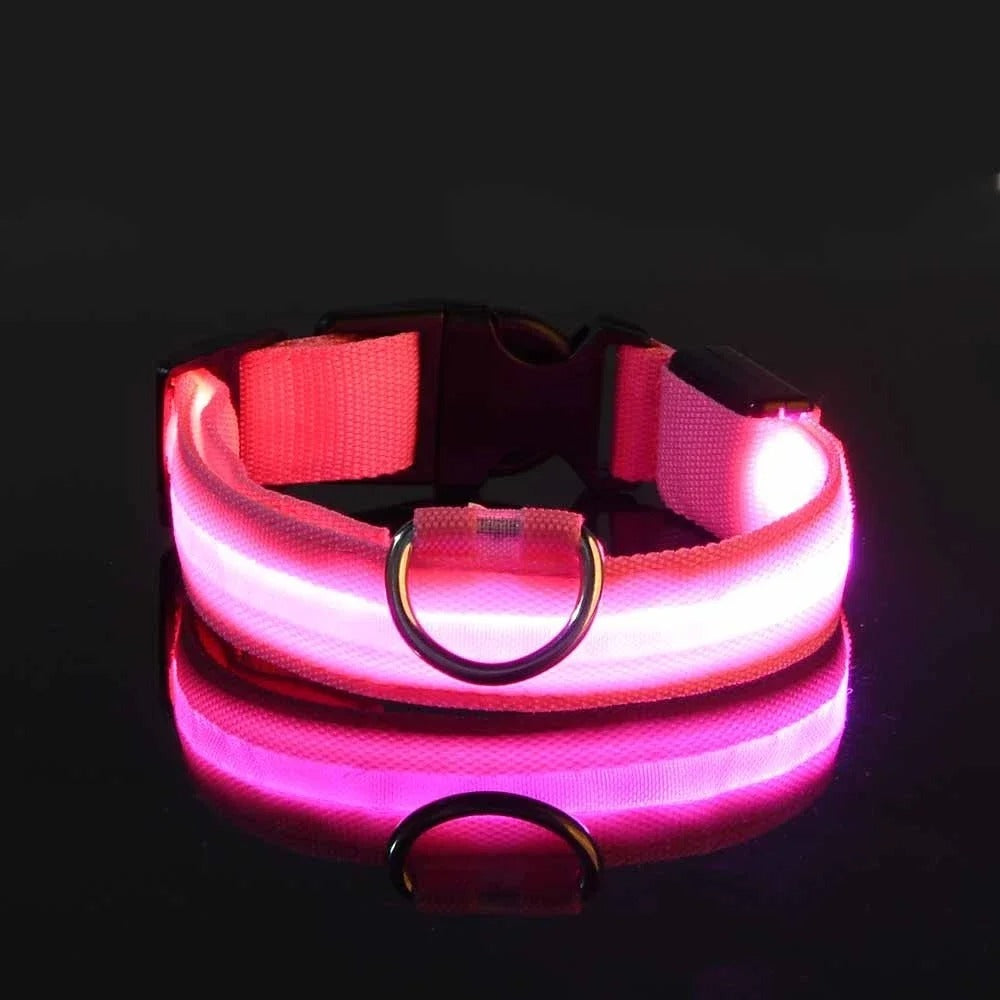 DogParadise - LED Halsband