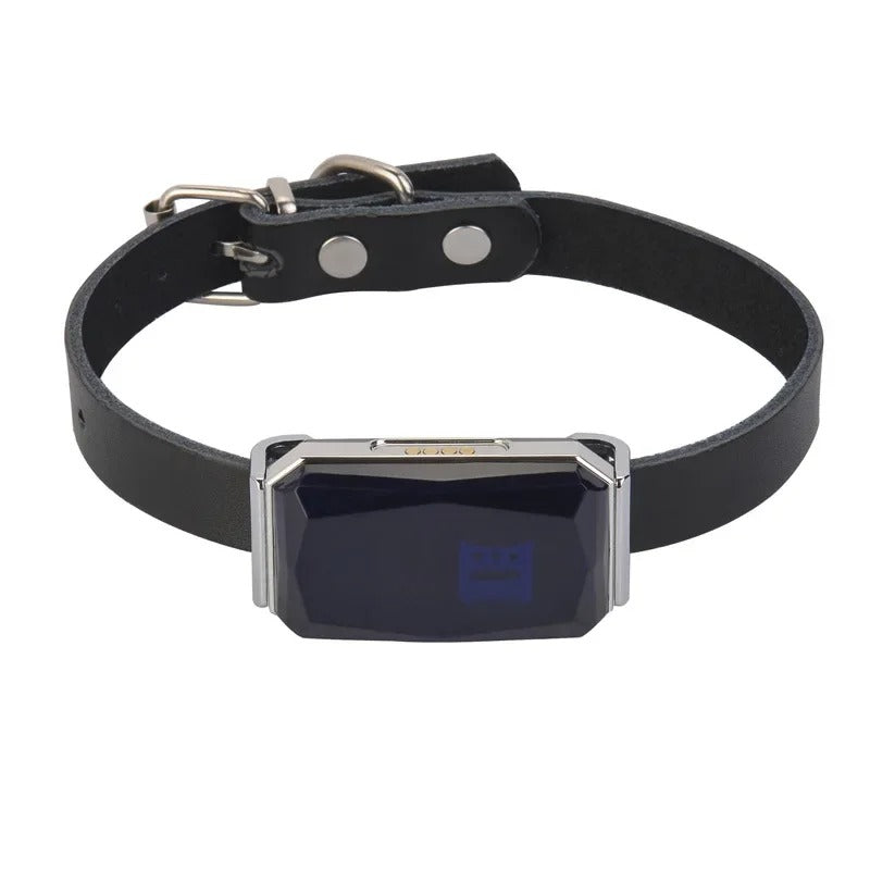 DogParadise - GPS-Tracker