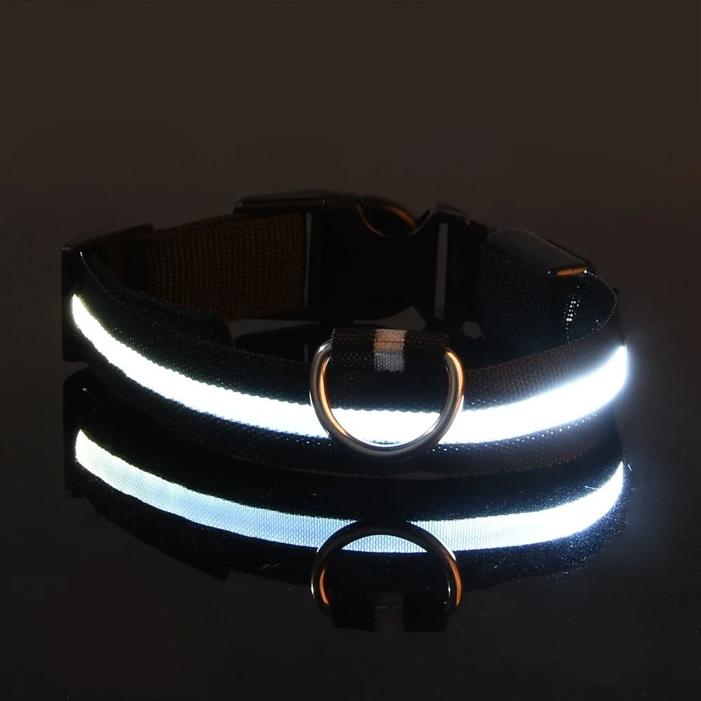 DogParadise - LED Halsband