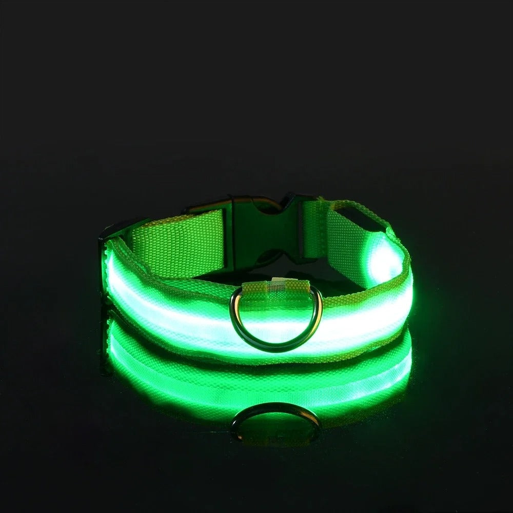 DogParadise - LED Halsband