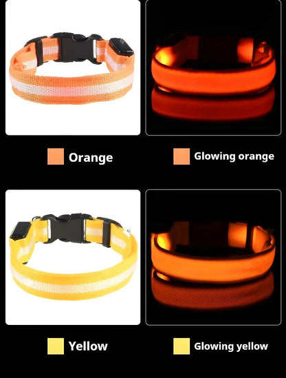 DogParadise - LED Halsband