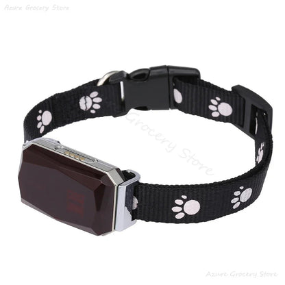 DogParadise - GPS-Tracker