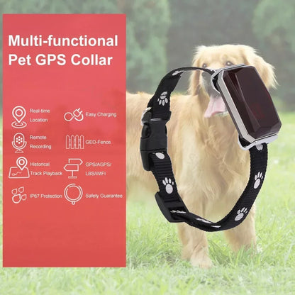 DogParadise - GPS-Tracker