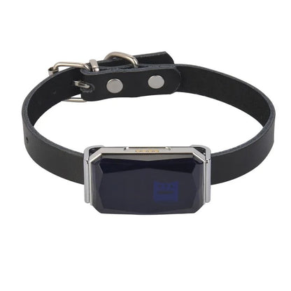 DogParadise - GPS-Tracker